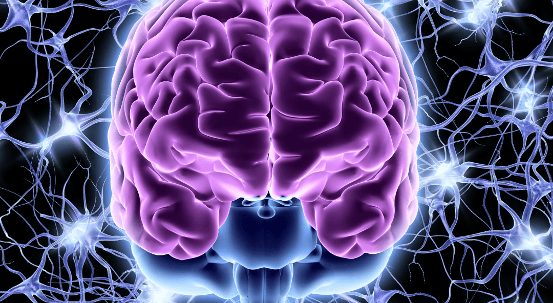 blutzucker_nervensystem