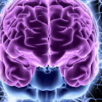 blutzucker_nervensystem