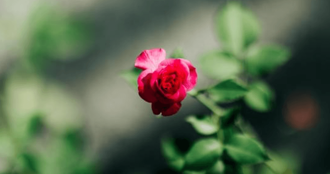 Nervensystem und Perimenopause