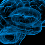 BrainFog Perimenopause