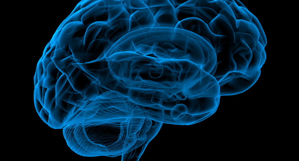 BrainFog Perimenopause